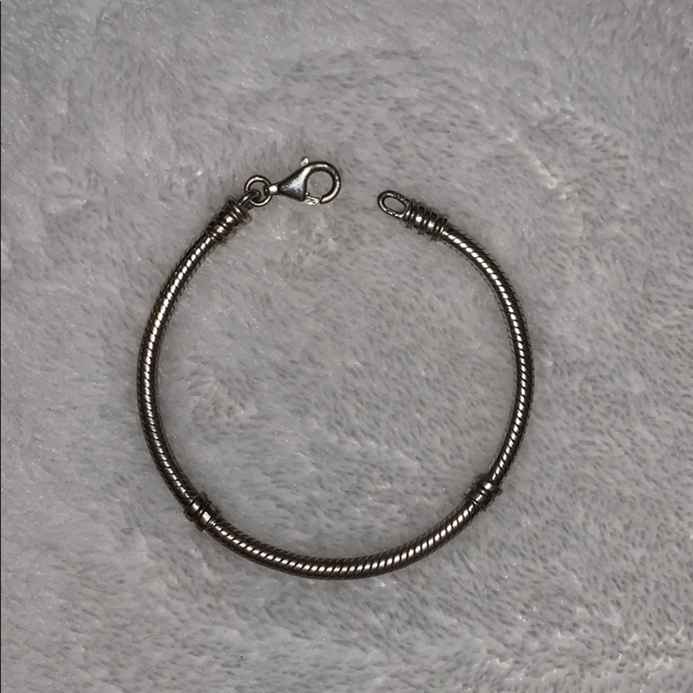 silver pandora charm bracelet